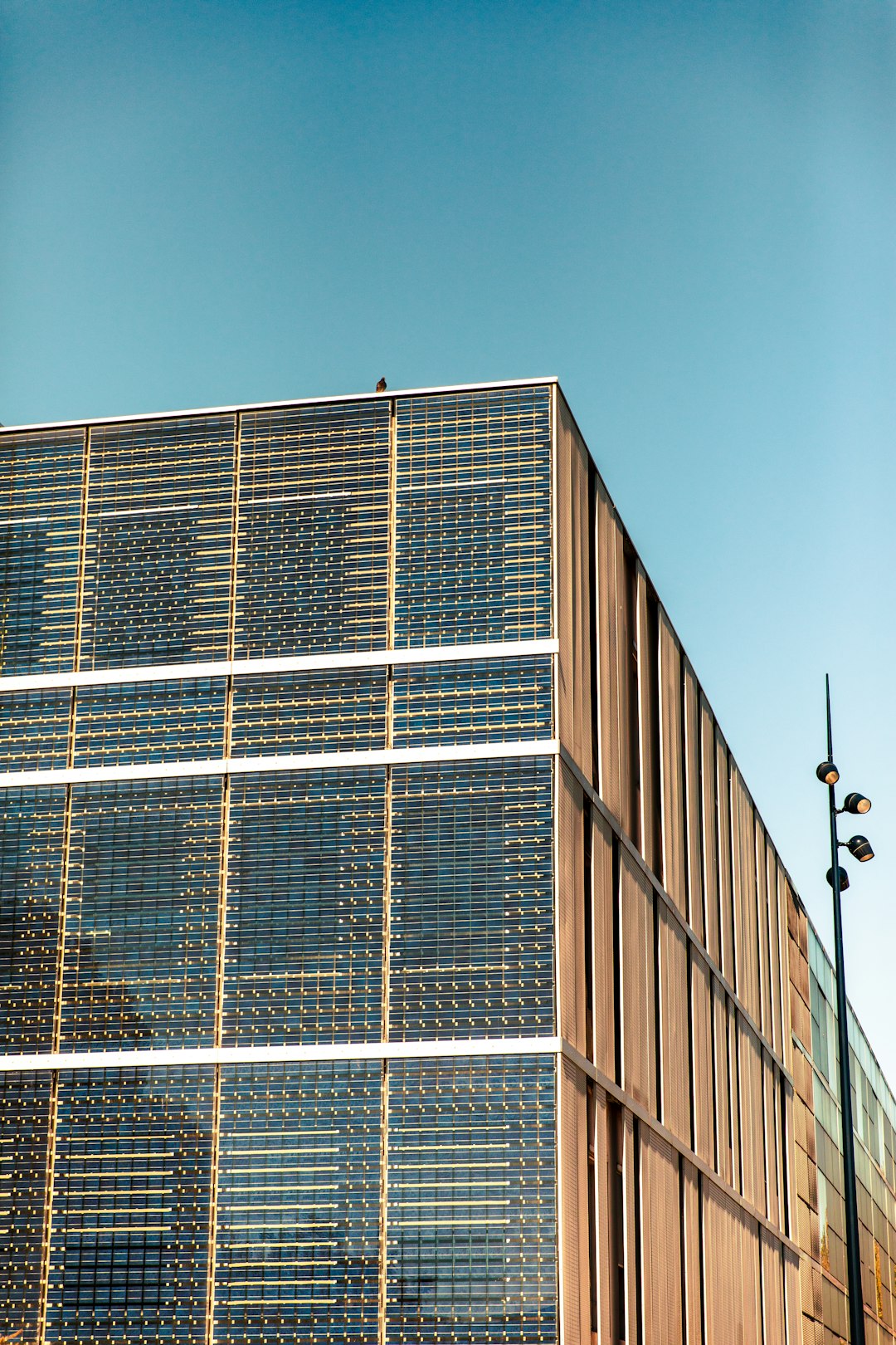 Eco-Friendly Building